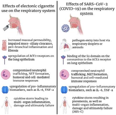 Frontiers Vaping SARS CoV 2 and Multisystem Inflammatory